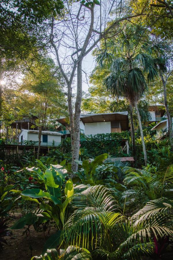 Serrano Tayrona Lodge Zaino Exterior foto