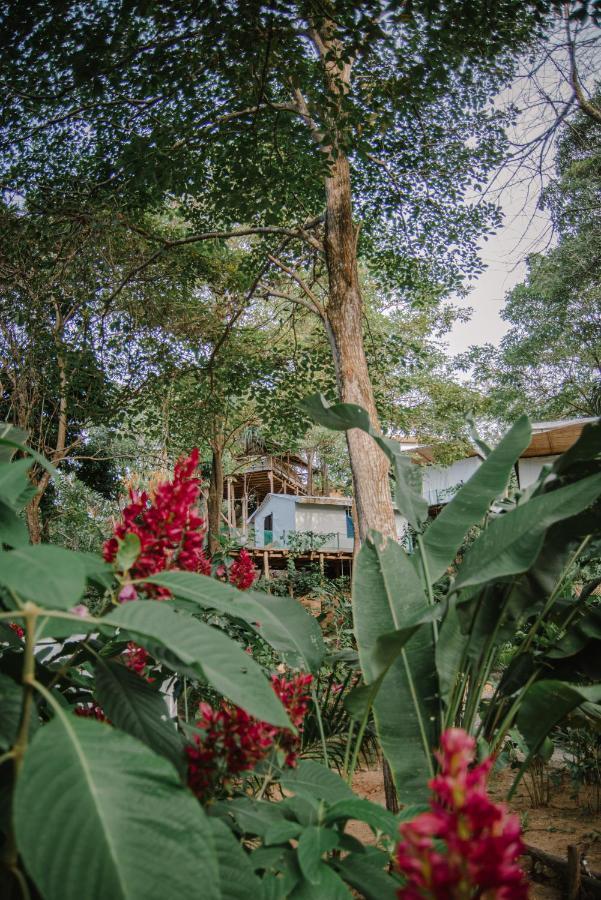 Serrano Tayrona Lodge Zaino Exterior foto