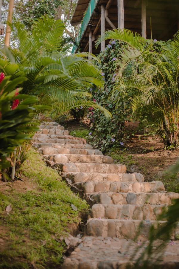 Serrano Tayrona Lodge Zaino Exterior foto