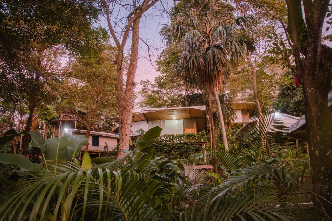 Serrano Tayrona Lodge Zaino Exterior foto