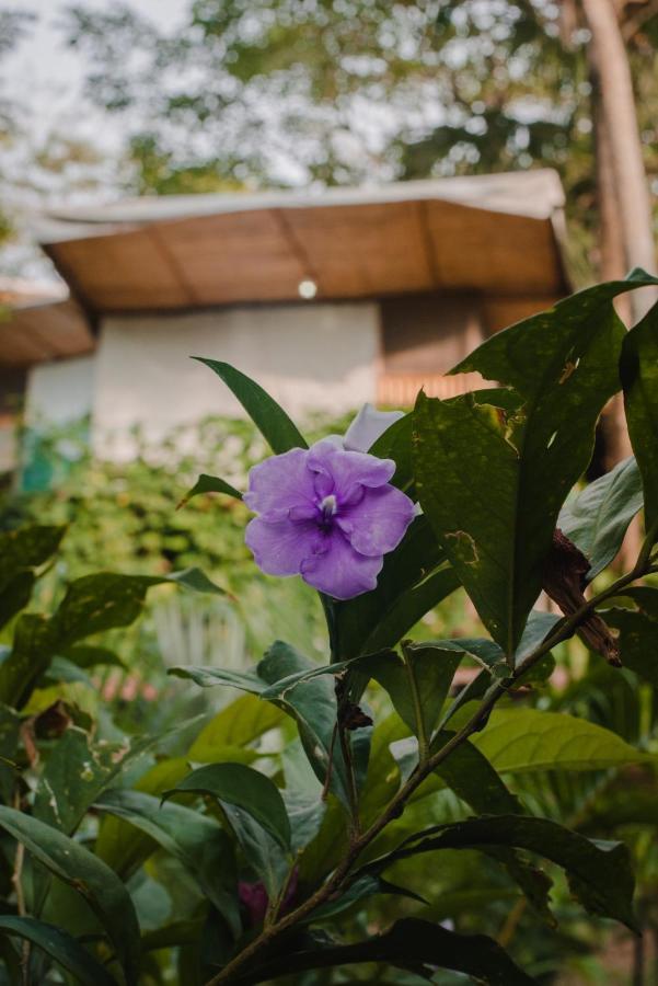 Serrano Tayrona Lodge Zaino Exterior foto